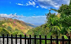Divine View Homestay